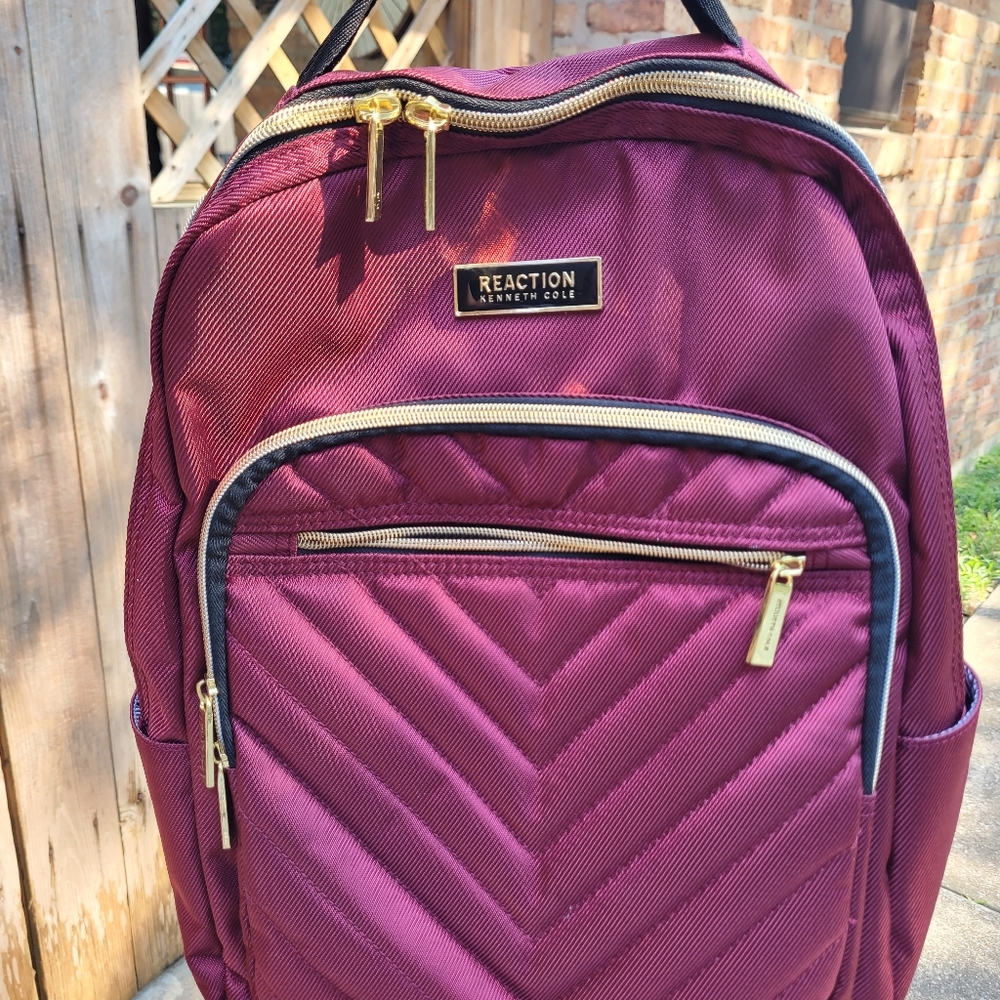 Reaction Kenneth Cole Computer Backpack